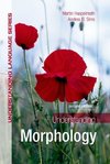 Understanding Morphology