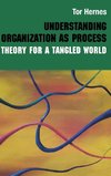 Understanding Organization as Process