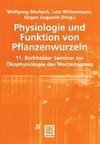 Physiologie und Funktion von Pflanzenwurzeln