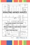 Amazing Minds Mazes