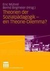 Theorien der Sozialpädagogik - ein Theorie-Dilemma?