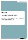 Intelligenz in Bits und Bytes