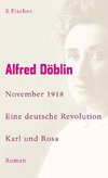 November 1918 - Eine deutsche Revolution