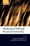 Weakness of Will and Practical Irrationality