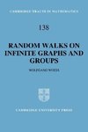 Random Walks on Infinite Graphs and Groups