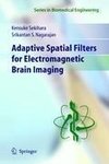 Adaptive Spatial Filters for Electromagnetic Brain Imaging