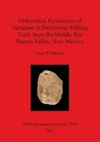 Differential Persistence of Variation in Prehistoric Milling Tools from the Middle Rio Puerco Valley, New Mexico