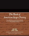 The Book of American Negro Poetry