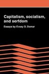Capitalism, Socialism, and Serfdom