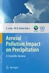 Aerosol Pollution Impact on Precipitation