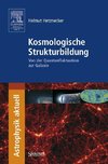 Kosmologische Strukturbildung