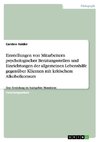 Einstellungen von Mitarbeitern psychologischer Beratungsstellen und Einrichtungen der allgemeinen Lebenshilfe  gegenüber Klienten mit kritischem Alkoholkonsum