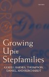 Growing Up in Stepfamilies