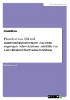 Photolyse von CS2 und massenspektrometrischer Nachweis angeregter Schwefelatome mit Hilfe von Laser-Produzierter-Plasma-Strahlung