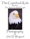 The Comeback Kids, Book 4, The American Bald Eagle