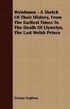 Welshmen - A Sketch of Their History, from the Earliest Times to the Death of Llywelyn, the Last Welsh Prince