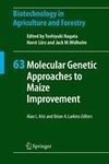 Molecular Genetic Approaches to Maize Improvement