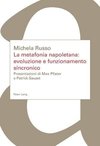 La metafonia napoletana: evoluzione e funzionamento sincronico