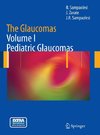 The Glaucomas