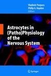 Astrocytes in (Patho)Physiology of the Nervous System