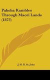 Pakeha Rambles Through Maori Lands (1873)