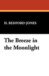 The Breeze in the Moonlight