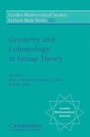 Geometry and Cohomology in Group Theory