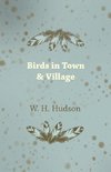 Birds in Town & Village