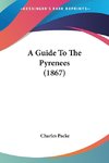 A Guide To The Pyrenees (1867)