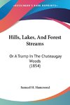 Hills, Lakes, And Forest Streams