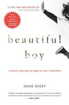 Beautiful Boy: A Father's Journey Through His Son's Addiction