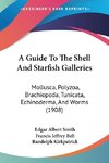 A Guide To The Shell And Starfish Galleries
