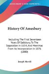 History Of Amesbury