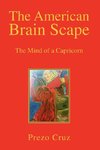 The American Brain Scape