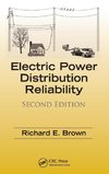 Electric Power Distribution Reliability