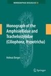 Monograph of the Amphisiellidae and Trachelostylidae (Ciliophora, Hypotricha)