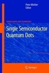 Single Semiconductor Quantum Dots