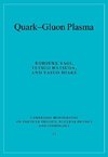 Quark-Gluon Plasma