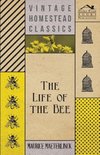 The Life Of The Bee