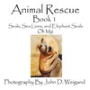 Animal Rescue, Book 1, Seals, Sea Lions And Elephant Seals, Oh My!