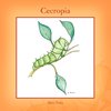 Cecropia