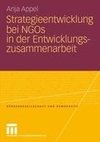 Strategieentwicklung  bei NGOs in der Entwicklungszusammenarbeit