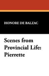 Scenes from Provincial Life