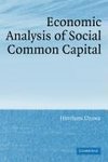 Economic Analysis of Social Common Capital