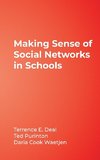 Making Sense of Social Networks in Schools