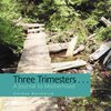 Three Trimesters ... A Journal to Motherhood