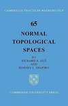 Normal Topological Spaces