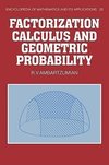 Factorization Calculus and Geometric Probability