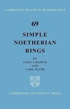 Simple Noetherian Rings