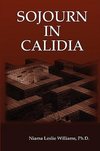 Sojourn in Calidia